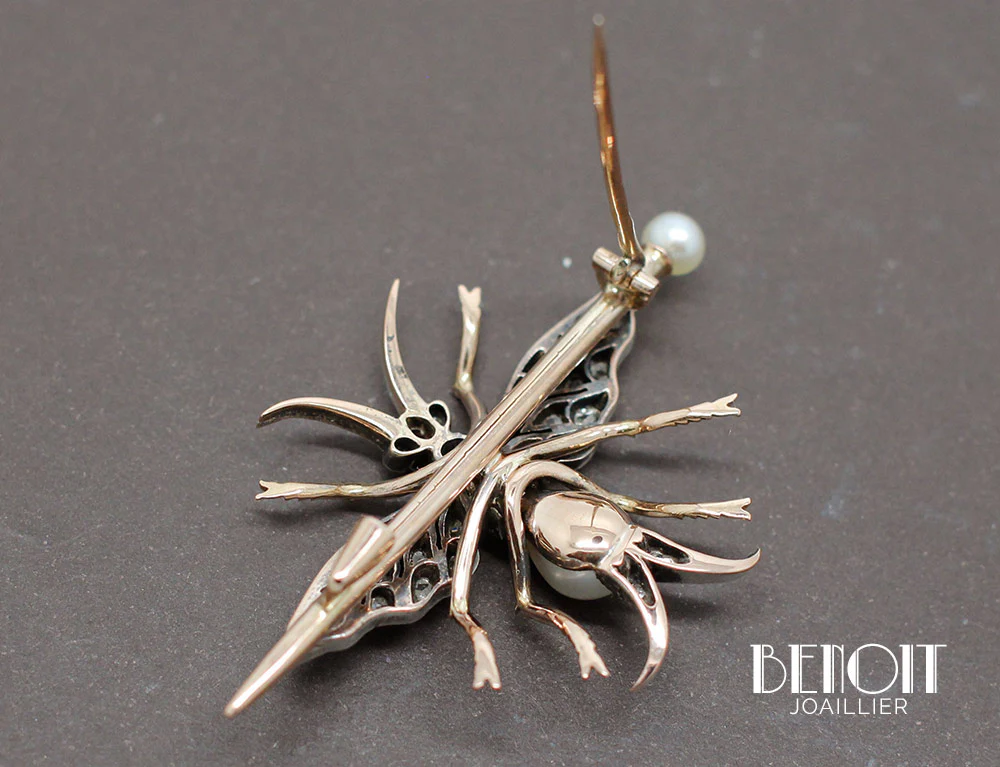 Broche Ancienne Insecte XIXe - Image 4